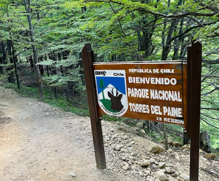 banner-image