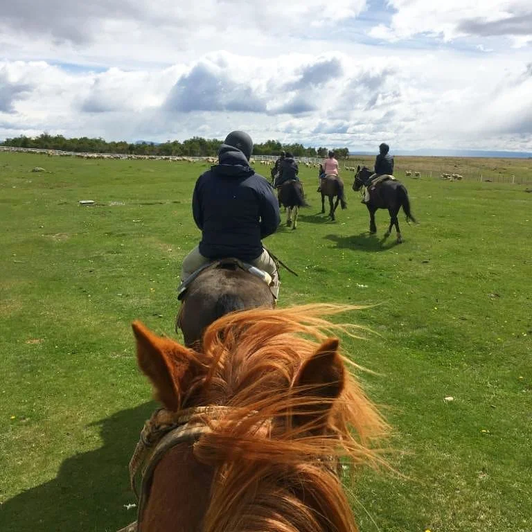 Horseback riding experience across open Patagonian landscapes near Puerto Natales.