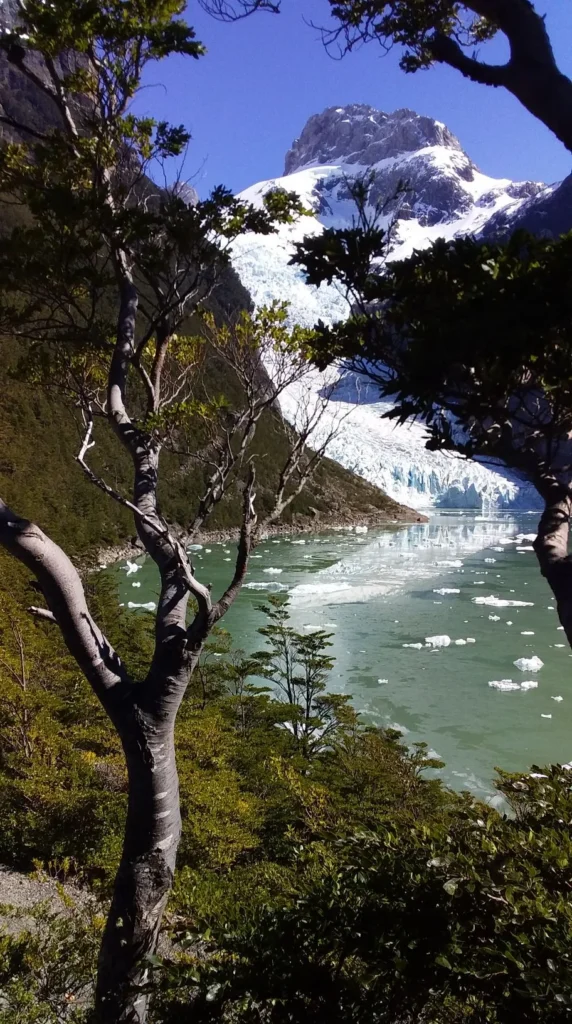 Serrano Glacier at the end of the Última Esperanza fjord, reached by boat from Puerto Natales