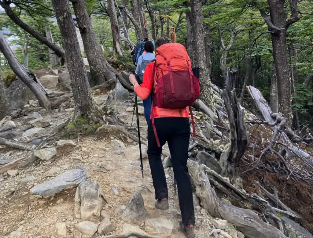 Hiker on the French Valley trail through native ñirre and lenga forest in Torres del Paine National Park.